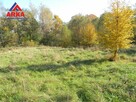 Działka usługowa Rozdziele gm. Żegocina - 7