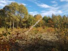 Urocza działka w otulinie lasu z MPZP zab. jednoro - 3