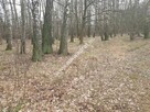 ⭐⭐⭐⭐⭐ Działka z planem zagospodarowania ⭐⭐⭐⭐⭐ - 4
