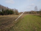Borszyce gm.Kowiesy działka 7 283 m - 3
