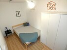 Przytulne 2 pokoje pet friendly, Wolności 302 - 6