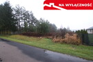 Działka rolno-budowlana 1,52 ha Dąbrowa gm. Ludwin - 4