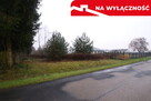 Działka rolno-budowlana 1,52 ha Dąbrowa gm. Ludwin - 6