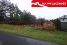 Działka rolno-budowlana 1,52 ha Dąbrowa gm. Ludwin - 10