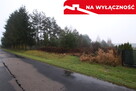 Działka rolno-budowlana 1,52 ha Dąbrowa gm. Ludwin - 11