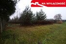 Działka rolno-budowlana 1,52 ha Dąbrowa gm. Ludwin - 12