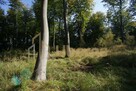 Działki nad jeziorem Dobra Nowogardzka - 13