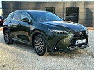 NX450h+ Salon PL! Serwis ASO! Omotenashi! I wł ! rej. 2023! - 1