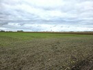 Działka przemysłowo - usługowa - 4