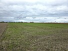 Działka przemysłowo - usługowa - 6