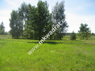 Działka Grzegorzewice - 2