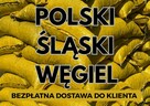 POLSKI WĘGIEL Groszek (5-25) 26-28MJ - TRANSPORT GRATIS ! - 5
