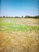 Działka 1200 m² z dojazdem asfaltowym, Śniadówka - 3