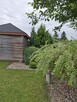 Działka ogrodowa - 6