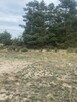 Działka Rolna - 2