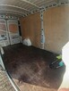 Sprzedam Peugeot Boxer - 3