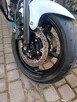 Suzuki sfv 650 Gladius - 5