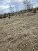 Sprzedam działkę budowlaną - 4