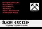 Polski Węgiel Groszek Certyfikowany PIAST (WOLA) 26-28 MJ - - 3