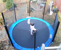 Trampolina Ogrodowa duża. - 2