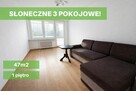 SŁONECZNE 3 POKOJOWE W DOSKONAŁEJ LOKALIZACJI!