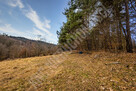 Krzeszów – działka budowlana 870 m2. Polecamy! - 5