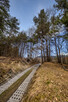 Krzeszów – działka budowlana 870 m2. Polecamy! - 10
