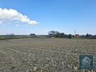 Działka budowlana Bodzanów gm. Biskupice, - 7