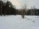 Działka rolno-leśna  – idealna pod dom letniskowy - 2
