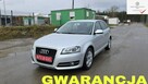 Audi A3 Led Xenon Climatronic  zarejestrowane   super stan