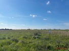 Działka budowlana Kopanina gm. Kaźmierz, Kamienna - 6