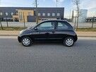 Nissan Micra 1.5DCi 2008r Klim FILM Bardzo Ekonomiczny Sprawny - 5