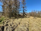 Działka budowlana 5436 m² Łuków Śląski - 7