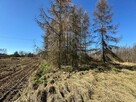 Działka budowlana 5436 m² Łuków Śląski - 8