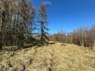 Działka budowlana 5436 m² Łuków Śląski - 12