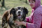 Bary - duży starszy psiak psiak do pilnej adopcji - 2
