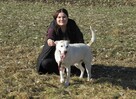 Białasek do adopcji - 5