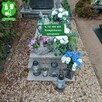 Kompleksowe sprzątanie nagrobków - 4