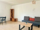Przestronna kawalerka, pet friendly- Mariacka 12 - 1