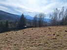 Działka pod lasem 826 m2, widok na Babią Górę! - 6