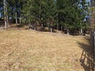 Działka pod lasem 826 m2, widok na Babią Górę! - 10