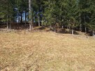 Działka pod lasem 826 m2, widok na Babią Górę! - 11