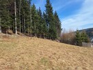 Działka pod lasem 826 m2, widok na Babią Górę! - 13