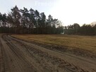 Działka budowlana z lasem, blisko autostrady A1