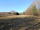 Działka budowlano-rolna 90 ar, Krzywe. - 2