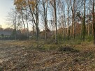 Blisko lasu, Podkowa Leśna, 30% pow zabudowy - 5