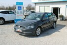 Volkswagen Golf Comfortline A netto 39 756 PLN Gwarancja Auto-Hold - 2