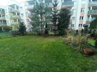 Mieszkanie z ogródkiem - 7