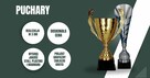 PucharyiStatuetki.PL - puchary sportowe - 3