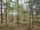 Działka budowlana na sprzedaż w Ostrzeszowie - 3